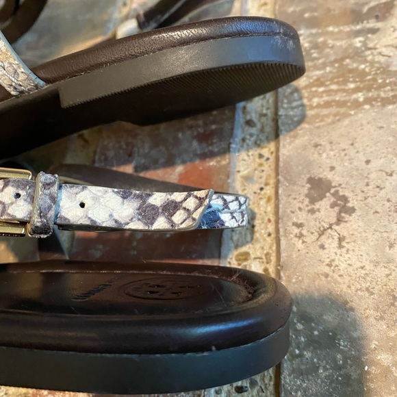 Tory Burch Dani Snakeskin T-strap Thongs Sandals - Picture 15 of 16